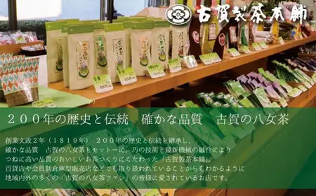 古賀製茶本舗 八女茶の一番茶だけで作った 水出し煎茶ティーバッグ たっぷり5g×75個入 八女茶 大容量 お茶 ティーバッグ  072-118