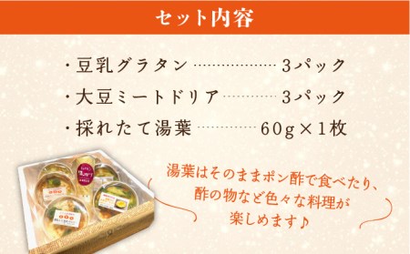 【お中元対象】【 湯葉を贅沢使用！ 】 湯葉 三昧 セット （ 豆乳 グラタン ＋ 大豆 ミート ドリア ＋ 湯葉 60g 1枚 ） 《糸島》 【酒瀬川】 [AZJ002]