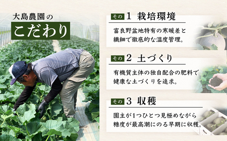 【2026年7月中旬～発送】ふらのメロン 赤肉 4～5玉 計8kg以上 北海道 富良野市 (大島農園)