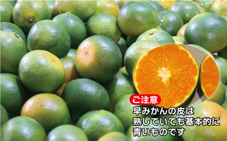 福岡県ブランド 極早生みかん「早味かん」5kg【JAほたるの里】_HA0887