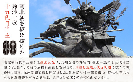 菊池武光公 ポロシャツ・タオルセット 黒 XLサイズ 株式会社アイエヌ《90日以内に出荷予定(土日祝除く)》熊本県 菊池市 シャツ 半袖 ファッション タオル 菊池一族 タオル ポロ 武光公 菊池武光