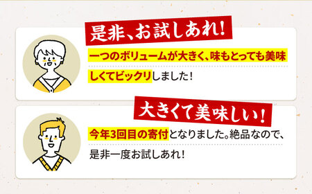 【全6回定期便】佐賀牛 おっきい ハンバーグ（10個） HAA038 牛肉 ハンバーグ 赤身 国産