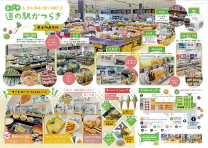 葛城便り　梅酒ケーキ　と　焼ドーナツ　５種　詰め合わせ　地元酒蔵　梅乃宿　の梅酒使用／道の駅　かつらぎ　奈良県　葛城市【ekik015】