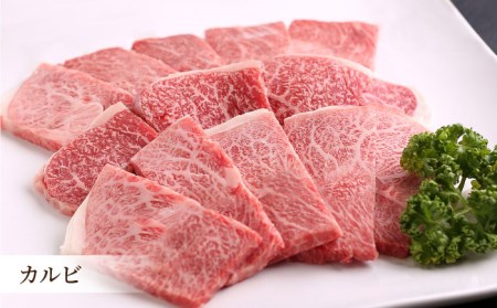 佐賀牛 A5 焼肉食べ比べセット400g×3 HAD059 BBQ バーベキュー キャンプ アウトドア 焼肉