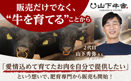 【全3回定期便】佐賀牛 A5 赤身スライス500gすき焼き用 HAD081  赤身スライス