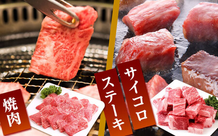 【全3回定期便】佐賀牛 A5赤身 HAD099 赤身 BBQ