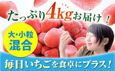 冷凍いちご 1kg HAF004 いちご 苺 アイス