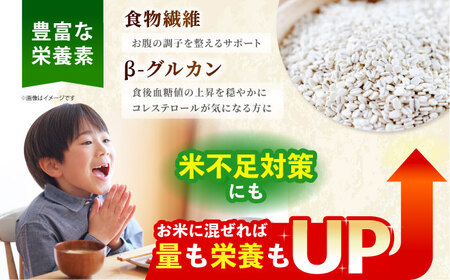 麦詰合 500g×3（押ムギ、胚芽押麦、丸ムギ）【葦農】 HAJ013 雑穀米 