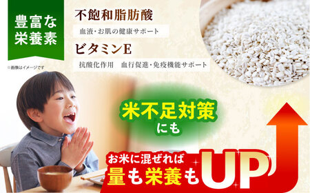 【全12回定期便】胚芽押麦500g（1等麦使用）【葦農】 HAJ036 