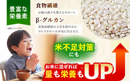 【全6回定期便】丸麦500g（1等麦使用）【葦農】 HAJ041