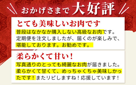 佐賀牛 サーロインスライス500g HBH011 サーロイン スライス 佐賀牛 国産 和牛 