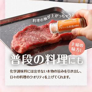 パハール岩塩粉末700g＋ソルト容器１本 岩塩 塩 パハール岩塩 天然 無添加 旨み 詰替用 粉末 700g 容器1本付 贈り物 ギフト プレゼント 送料無料 山梨県 上野原市