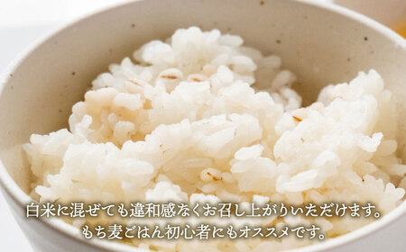 【プチプチのもち麦】キラリモチ 4kg（1kg×4袋） [HBL018] もち麦 雑穀 もち麦