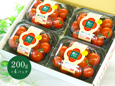 12月以降発送予約【霧で育てた濃厚な味】霧のトマト 200ｇ×4パック（06-16）
