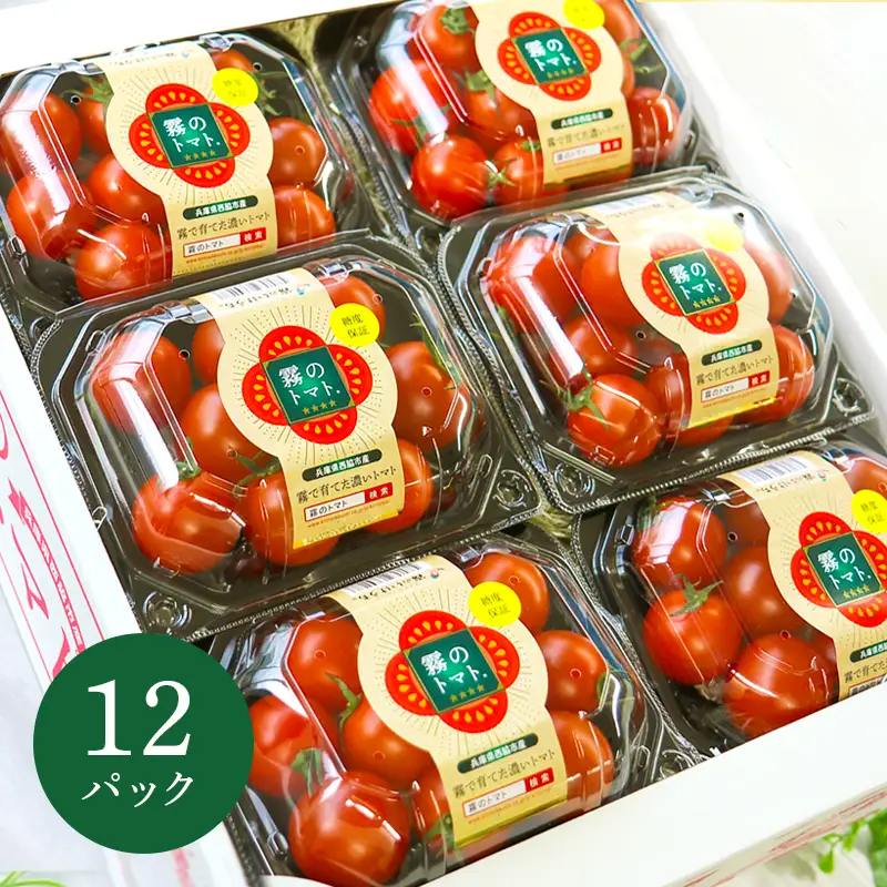 12月以降発送予約【霧で育てた濃厚な味】霧のトマト 200ｇ×12パック(20-59)