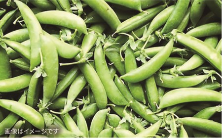 【 全6回 定期便 】 【 福岡県 糸島産 】 朝採れ 野菜 セット ( 8品 前後 )  《糸島》【オーガニックナガミツファーム】 	[AGE009]