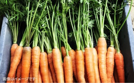【 栽培期間中農薬 ・ 化学肥料 不使用 】 温野菜＆生食野菜セット （ 6品前後 ） 《糸島》【オーガニックナガミツファーム】 	[AGE015]