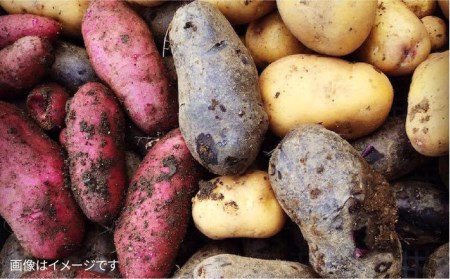 【全12回定期便】【 福岡県 糸島産 】 朝採れ 野菜 セット （ 12品 前後 ）《糸島》 【オーガニック ナガミツファーム】 	[AGE026]