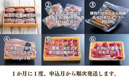 肉ざんまい定期便全6回6ヶ月牛肉焼肉ステーキスライス鶏肉ウインナーハンバーグ | 豊後高田市 ステーキ