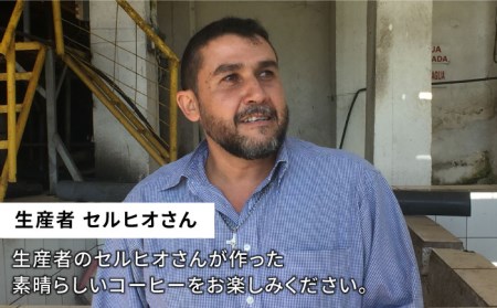 中煎り コーヒー 豆 250g × 2袋 （ 豆 ・ 粉 選べます ） ニカラグア産 エルポルベニール農園 ジャバニカ種 ナチュラル 《糸島》 【COFFEE UNIDOS】 [AQF005]