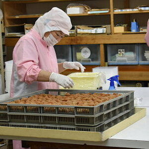 BL6151_定期便 紀州南高梅 7種の風味 1.2kg × 12ヶ月 ご家庭用 梅 桃風味 桃果汁 しそ風味 こんぶ風味 まろやか 優梅 低塩 白干梅干 うす味 はちみつ入り フルーティー 紀州伝統 ご飯のお供 お弁当 おかず 料理 和歌山県 湯浅町 お取り寄せ 送料無料 