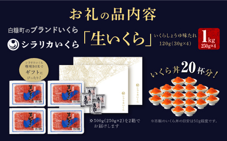 ＼高評価 4.9／白糠町のブランドいくら シラリカいくら (生いくら) 1kg ( 250g × 4 )_K061-0920-60DAYS