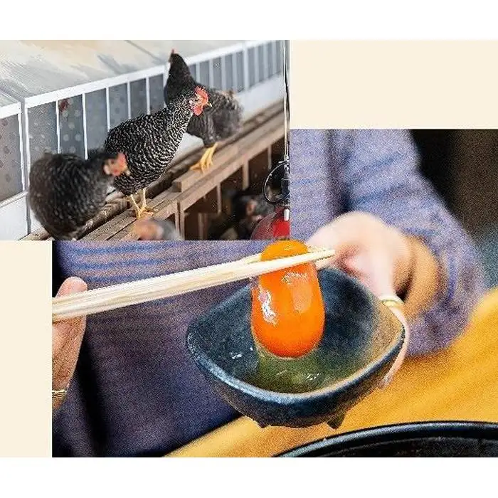 鶏すき焼き  紀の国みかんどり 鶏すき焼きセット　とりすき