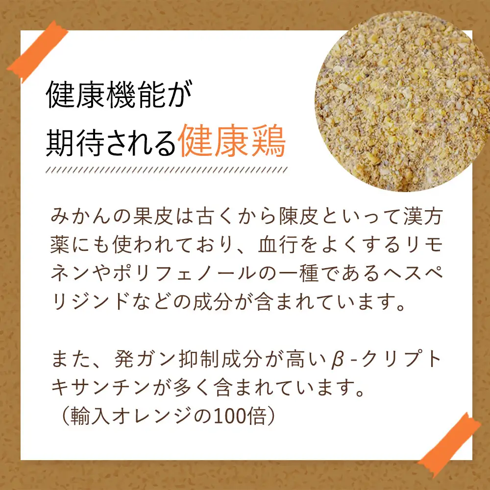 紀の国みかんどり　フライドチキン