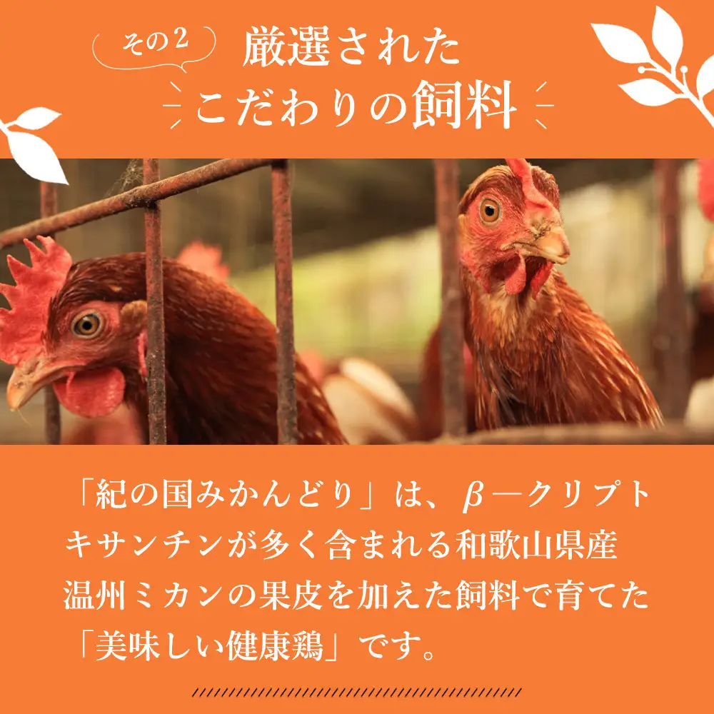 たまご  紀の国みかん極みたまご36個 　卵  玉子   卵かけご飯