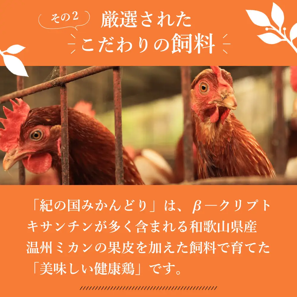【全3回】紀の国みかん極みたまご定期便 卵 たまご 玉子 