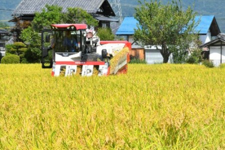 米 令和7年 無洗米 長野県産 コシヒカリ 10kg [大北農業協同組合 長野県 池田町 48110829]