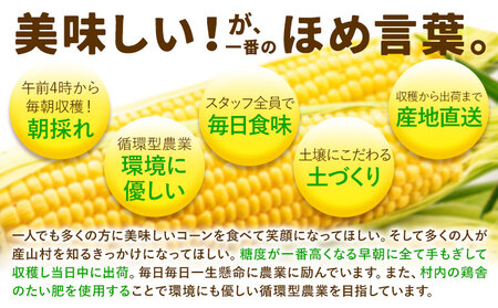 【ふるなびWEEK対象】とうもろこし 15本 城本農園 とうもろこし