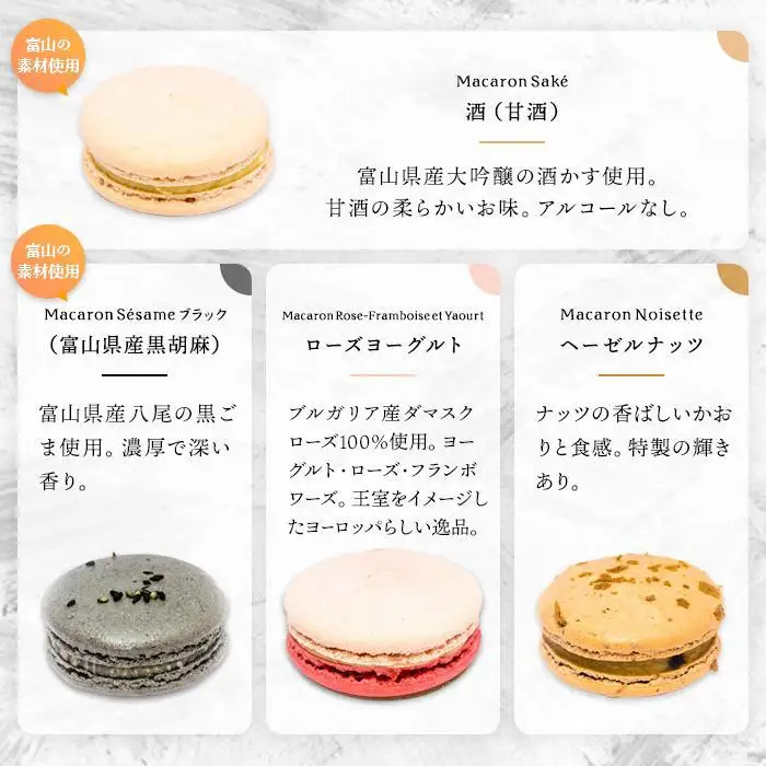 フランス人パティシエ手作り人気マカロン10個セット