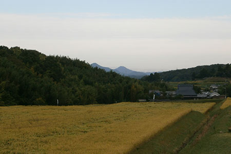 芳醇、吟香る山田錦入りビール「吟米麦酒」5本セット【北海道・沖縄・離島　配送不可】