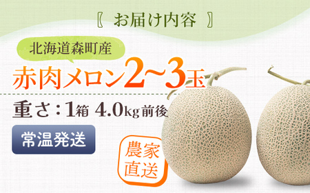 【先行予約】北海道森町産赤肉メロン2～3玉入り（1箱4kg前後）（2026年6月上旬～8月上旬頃に順次お届け）＜道産ネットミツハシ＞  森町 メロン 果物 赤肉 北海道産 mr1-0906