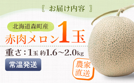 【先行予約】北海道森町産赤肉メロン大玉 1玉（約1.6～2kg）（2026年6月上旬～8月上旬頃に順次お届け）＜道産ネットミツハシ＞  森町 メロン 果物 赤肉 北海道産 mr1-0815