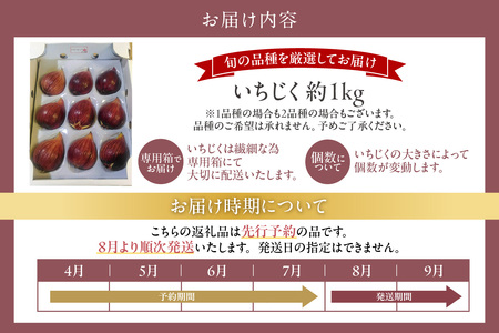 【先行予約】ふんわり柔らか朝どり完熟いちじく