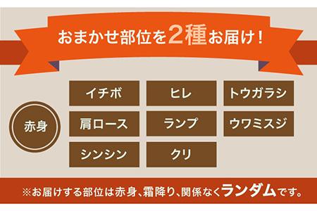 【全6回定期便】1ヶ月に1度の佐賀牛ひとり贅沢コース ステーキ/焼肉/スライス 牛肉 希少 赤身 カルビ ヒレ サーロイン モモ 切り落とし[FAY066]