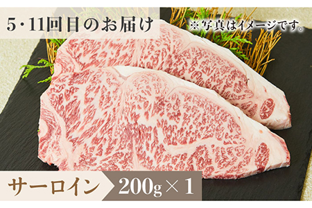 【全12回定期便】佐賀牛希少部位?ひとり贅沢ステーキコース? イチボ/ランプ/ミスジ/クリ/サーロイン/シャトーブリアン【ミートフーズ華松】 ブランド 高級 和牛 霜降り やわらか 冷凍 料理  精肉 牛肉 希少 赤身 イチボ ランプ ミスジ [FAY070]