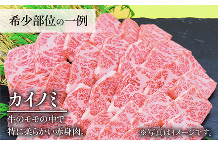 【全3回定期便】佐賀牛希少部位?ひとり贅沢焼肉コース? ランプ/クリ/トウガラシ/ザブトン/カイノミなど【ミートフーズ華松】 ブランド 高級 和牛 霜降り BBQ やわらか 冷凍 料理  精肉 牛肉 希少 赤身 イチボ ランプ ミスジ [FAY071]