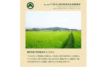 奈良・橿原　農薬や化学肥料不使用【令和7年産】ヒノヒカリ【七分搗き】約5kg（5kg×1袋）