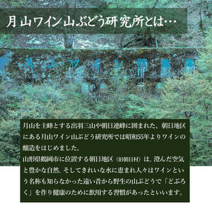 月山ワイン『村民還元』　1800ml（一升瓶）　赤ワイン　たっぷり　1.8L×2本　K20-769