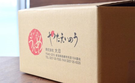 【先行予約・6月中旬～発送】やたらうんめぇ 玉ねぎ 3kg 産地直送 水田環境鑑定士在籍[ZA076]