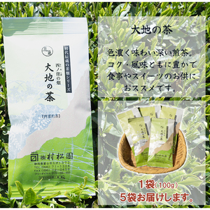 お茶 「大地の茶」500g (100g×5袋) お茶の葉 日本茶 緑茶 茶葉 セット 富士山麓 コク中蒸し製法 こだわり 美味しい 銘茶 煎茶 ギフト プレゼント 飲み物 富士のやぶ北茶 静岡茶 お茶葉 老舗 大正5年創業 村松園 富士市 [sf002-135]
