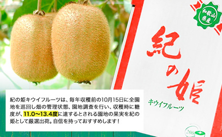 紀の姫キウイフルーツ約1.8kg