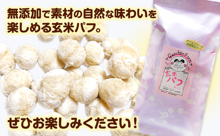 玄米パフ(10パック入り) 1パック35g 自然で優しい素朴なスナック菓子 元ちゃんファーム《90日以内に出荷予定(土日祝除く)》 和歌山県 紀の川市 玄米 パフ 送料無料