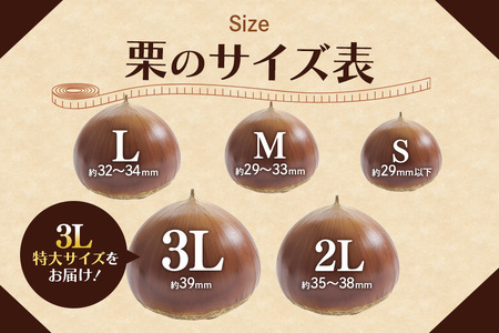 アカツファームの生栗 特大 3Lサイズ 1kg GA-002