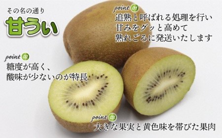 【2026年11～12月出荷】福岡県ブランドキウイフルーツ「博多甘うぃ」化粧箱大玉9玉約1.4kg[H2279]