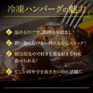 大容量！デミグラスソースハンバーグ 150ｇ×20個セット 【数量限定】 高評価 デミグラスソース ハンバーグ セット 150g 20個 個包装 便利 時短 湯煎 ボイル 電子レンジ 簡単 調理 おかず お弁当 おつまみ 冷凍 食べ物 加工品 お取り寄せグルメ 福岡県 上毛町 送料無料 _K04404