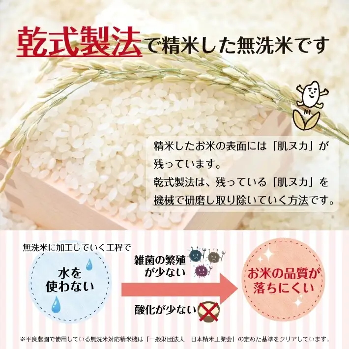 SG0141　【令和8年産 新米予約】≪5回定期便≫ ［無洗米］ひとめぼれ　5kg×5回(計25kg)　農家直送・鳥海山麓やわたの米 TR